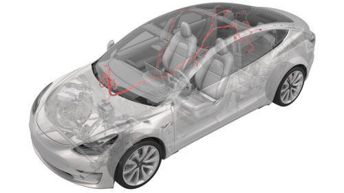 Harness - Body - RH (Remove and Replace)